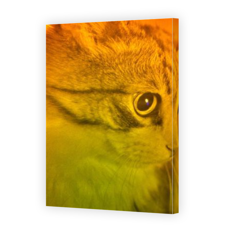 Thumbnail for Canvas - Gallery Canvas Wrap