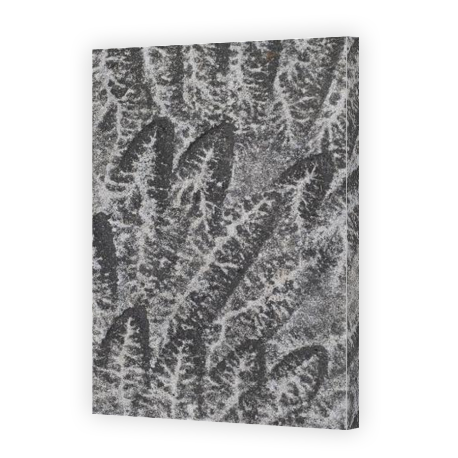 Thumbnail for Canvas - Gallery Canvas Wrap