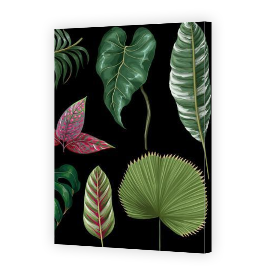 Thumbnail for Canvas - Gallery Canvas Wrap