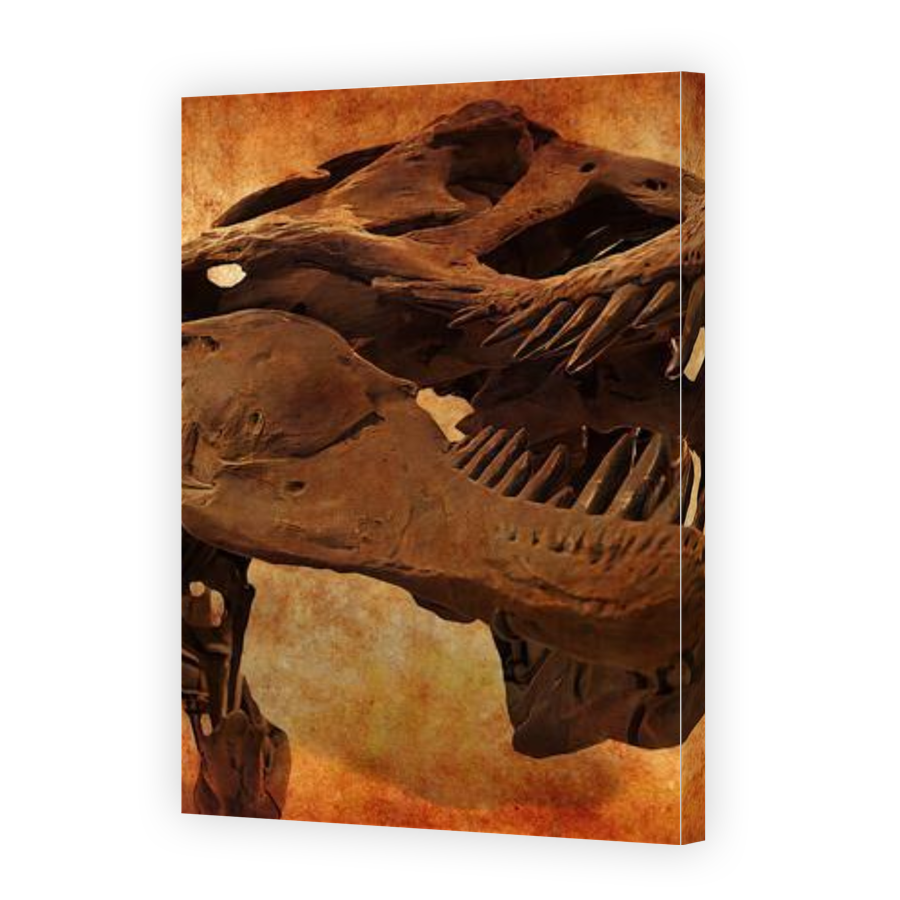 Thumbnail for Canvas - Gallery Canvas Wrap