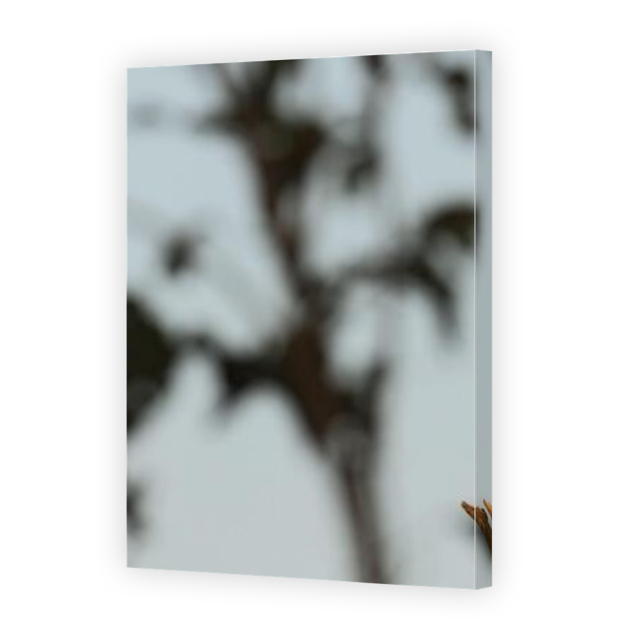 Thumbnail for Canvas - Gallery Canvas Wrap
