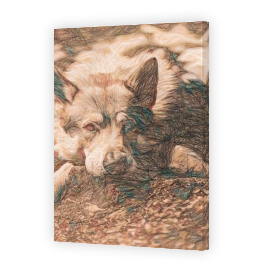 Thumbnail for Canvas - Gallery Canvas Wrap