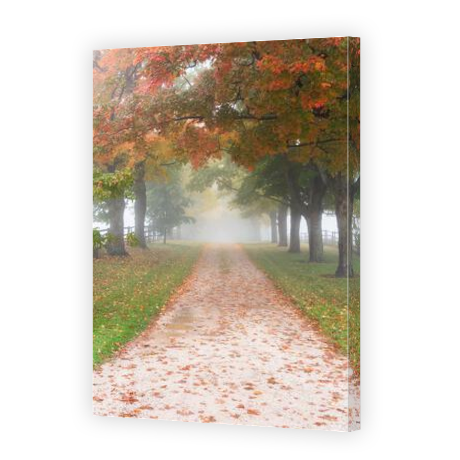 Thumbnail for Canvas - Gallery Canvas Wrap