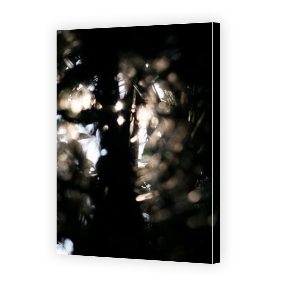 Thumbnail for Canvas - Gallery Canvas Wrap
