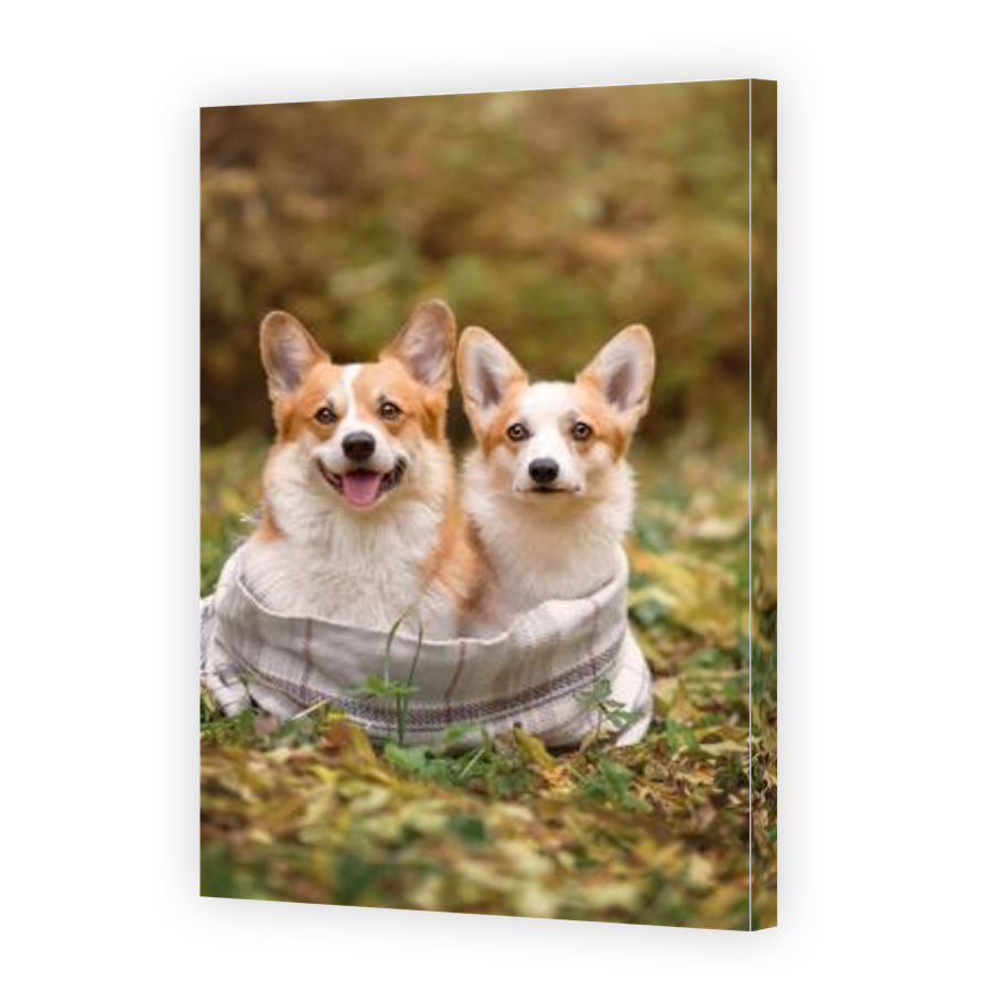 Thumbnail for Canvas - Gallery Canvas Wrap