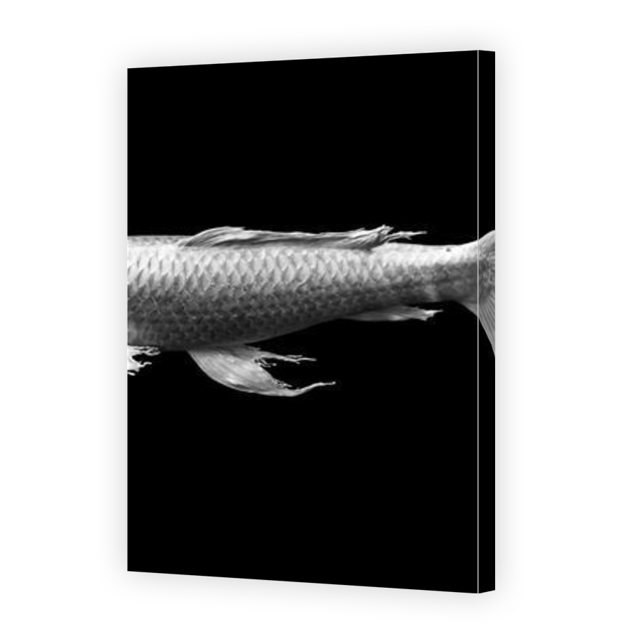 Thumbnail for Canvas - Gallery Canvas Wrap