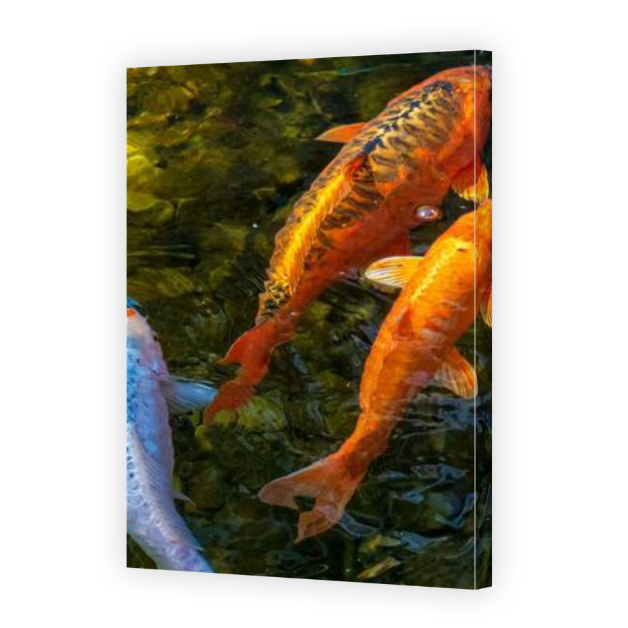 Thumbnail for Canvas - Gallery Canvas Wrap