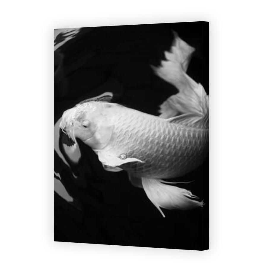 Thumbnail for Canvas - Gallery Canvas Wrap