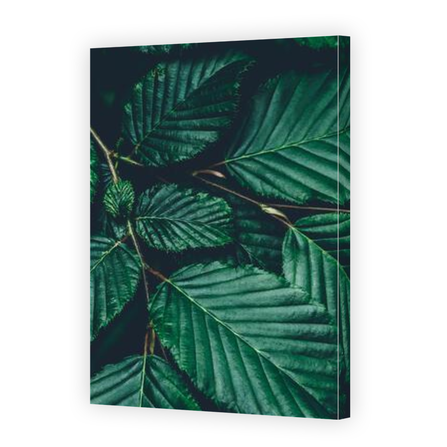 Thumbnail for Canvas - Gallery Canvas Wrap