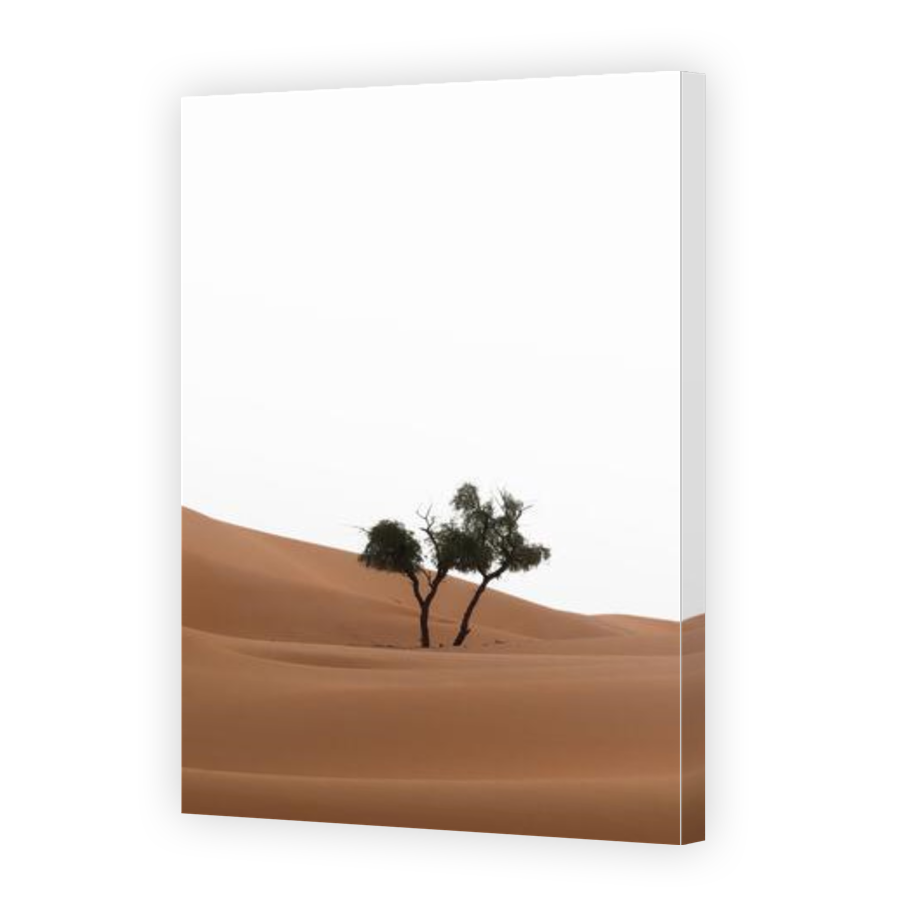 Thumbnail for Canvas - Gallery Canvas Wrap