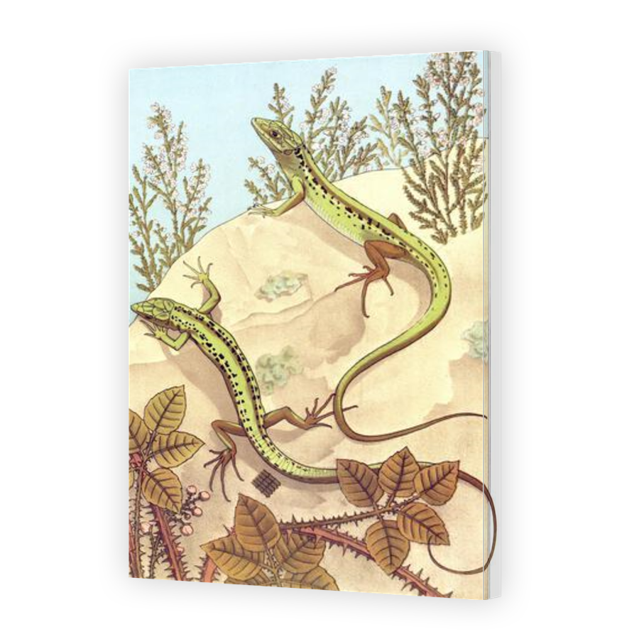 Thumbnail for Canvas - Gallery Canvas Wrap