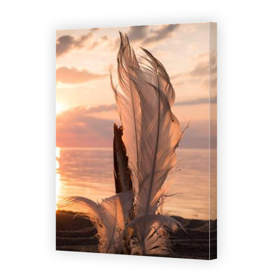 Thumbnail for Canvas - Gallery Canvas Wrap