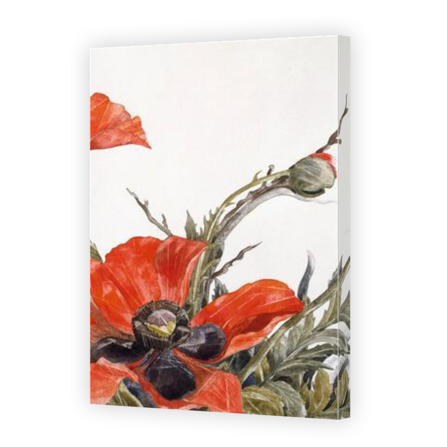 Thumbnail for Canvas - Gallery Canvas Wrap