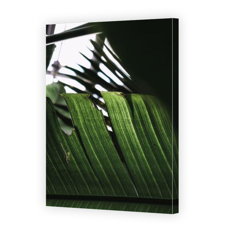 Thumbnail for Canvas - Gallery Canvas Wrap