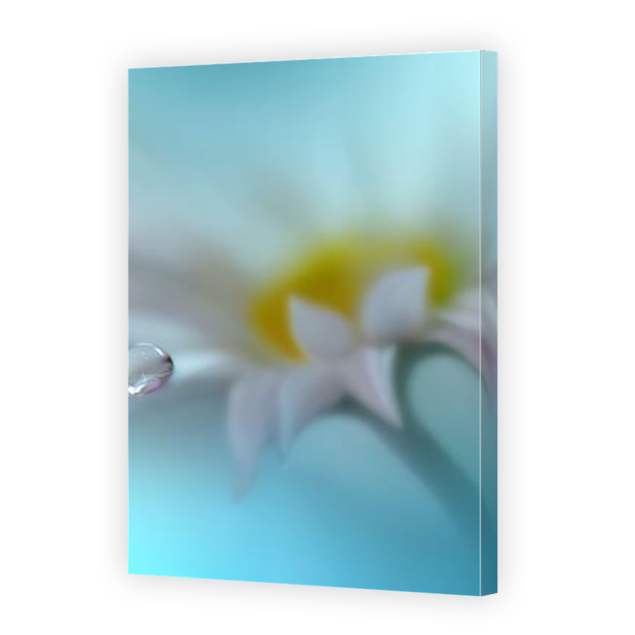 Thumbnail for Canvas - Gallery Canvas Wrap