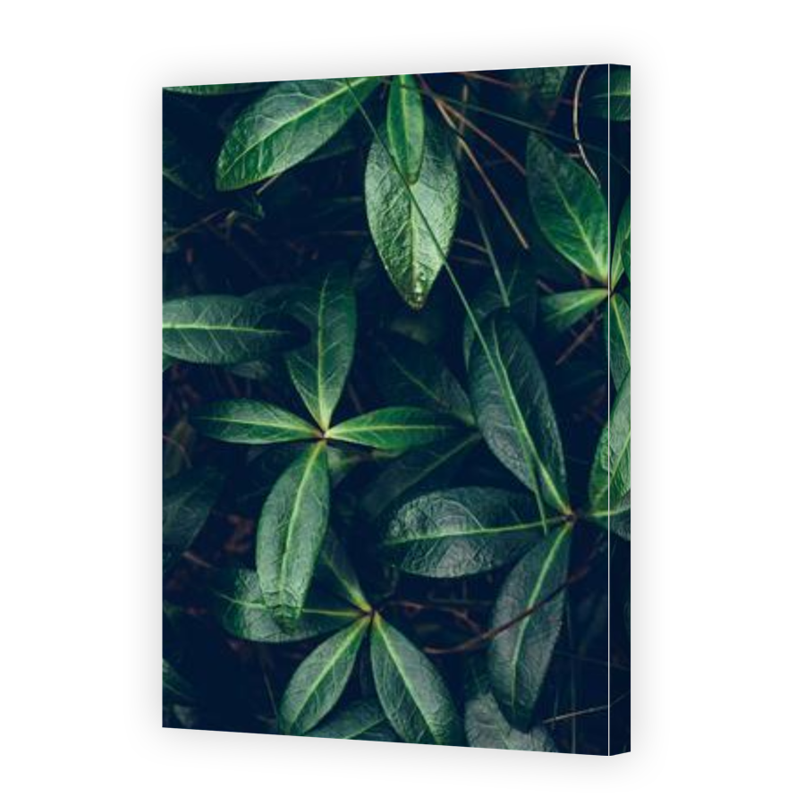 Thumbnail for Canvas - Gallery Canvas Wrap
