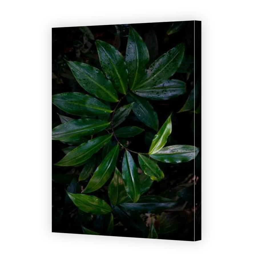 Thumbnail for Canvas - Gallery Canvas Wrap