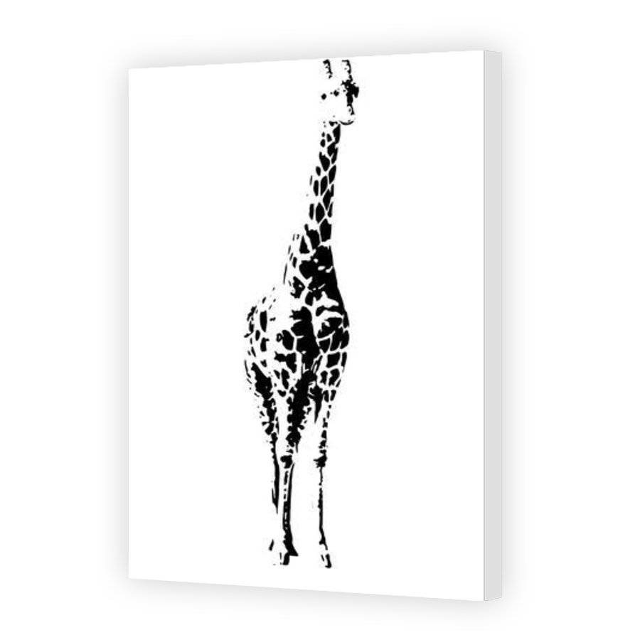 Thumbnail for Canvas - Gallery Canvas Wrap