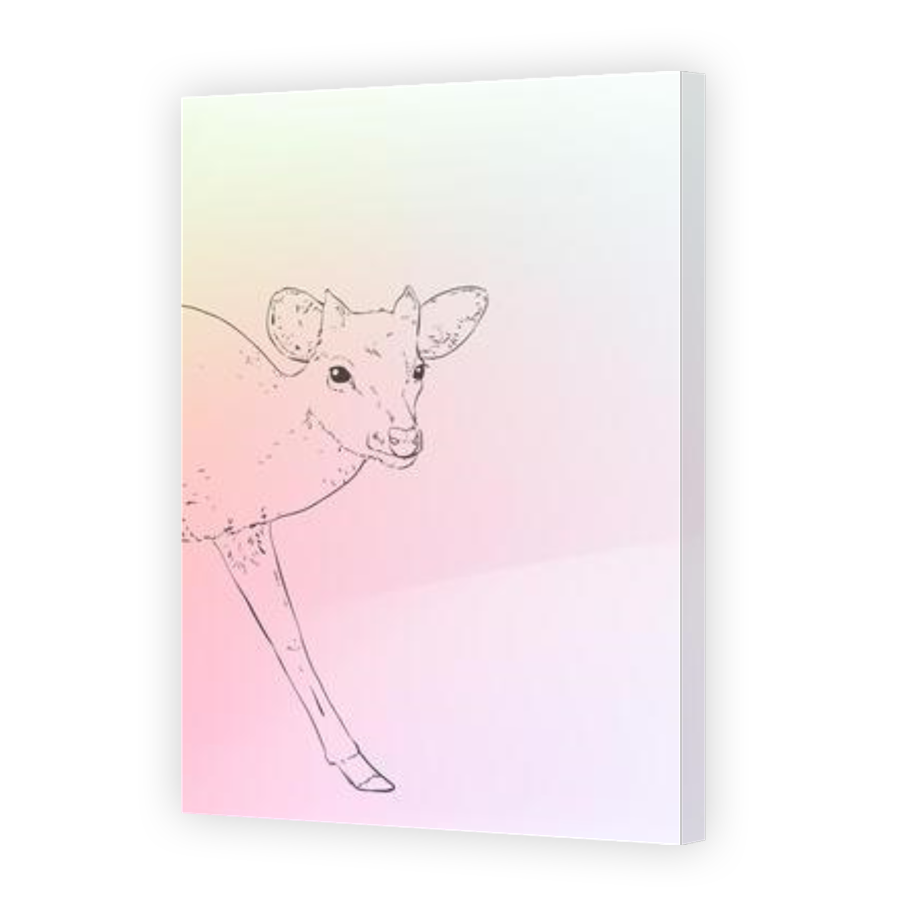 Thumbnail for Canvas - Gallery Canvas Wrap