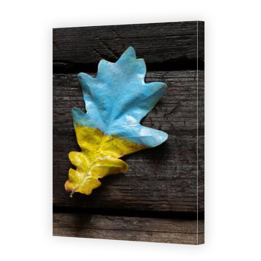Thumbnail for Canvas - Gallery Canvas Wrap