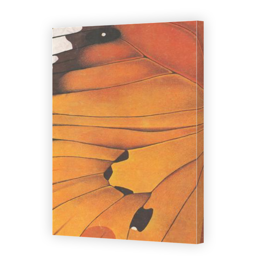 Thumbnail for Canvas - Gallery Canvas Wrap