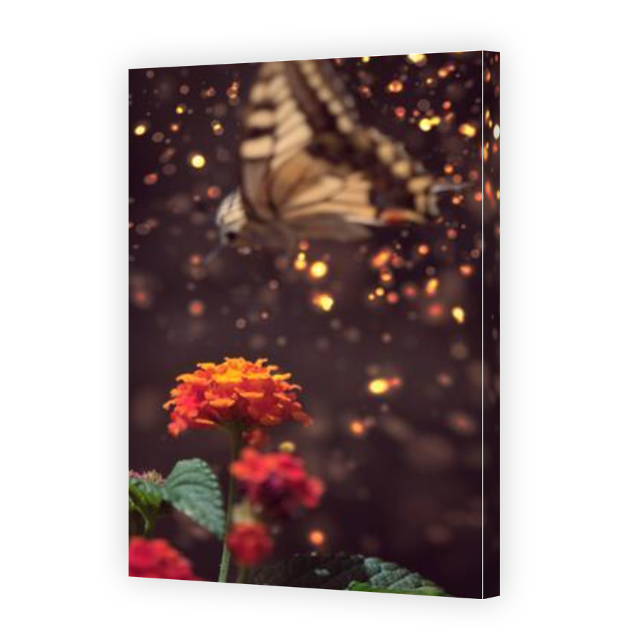 Thumbnail for Canvas - Gallery Canvas Wrap