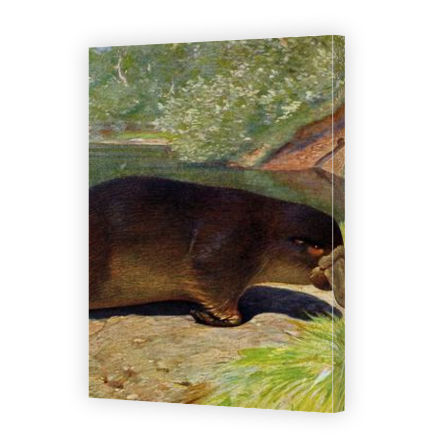 Thumbnail for Canvas - Gallery Canvas Wrap