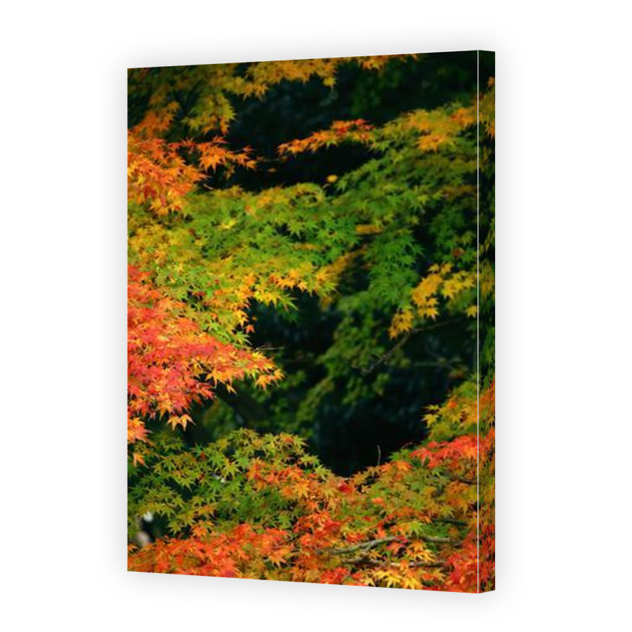 Thumbnail for Canvas - Gallery Canvas Wrap