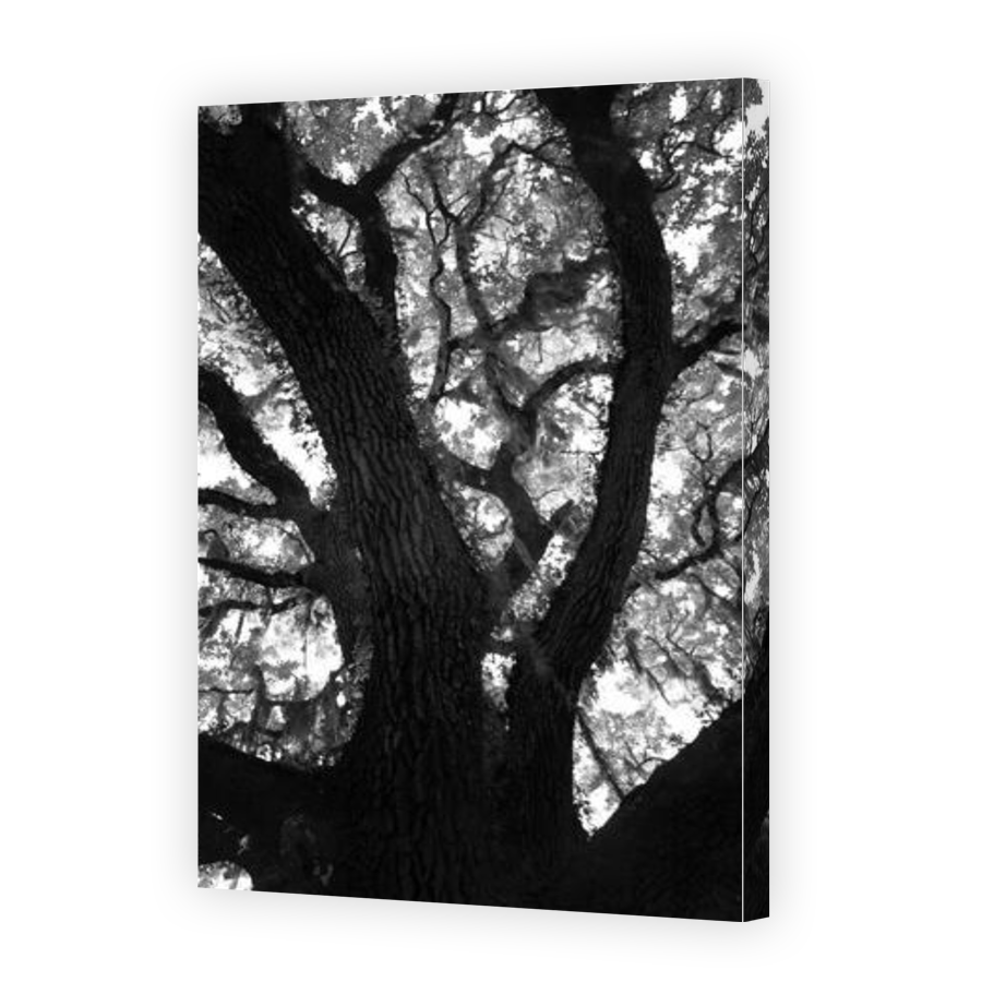 Thumbnail for Canvas - Gallery Canvas Wrap