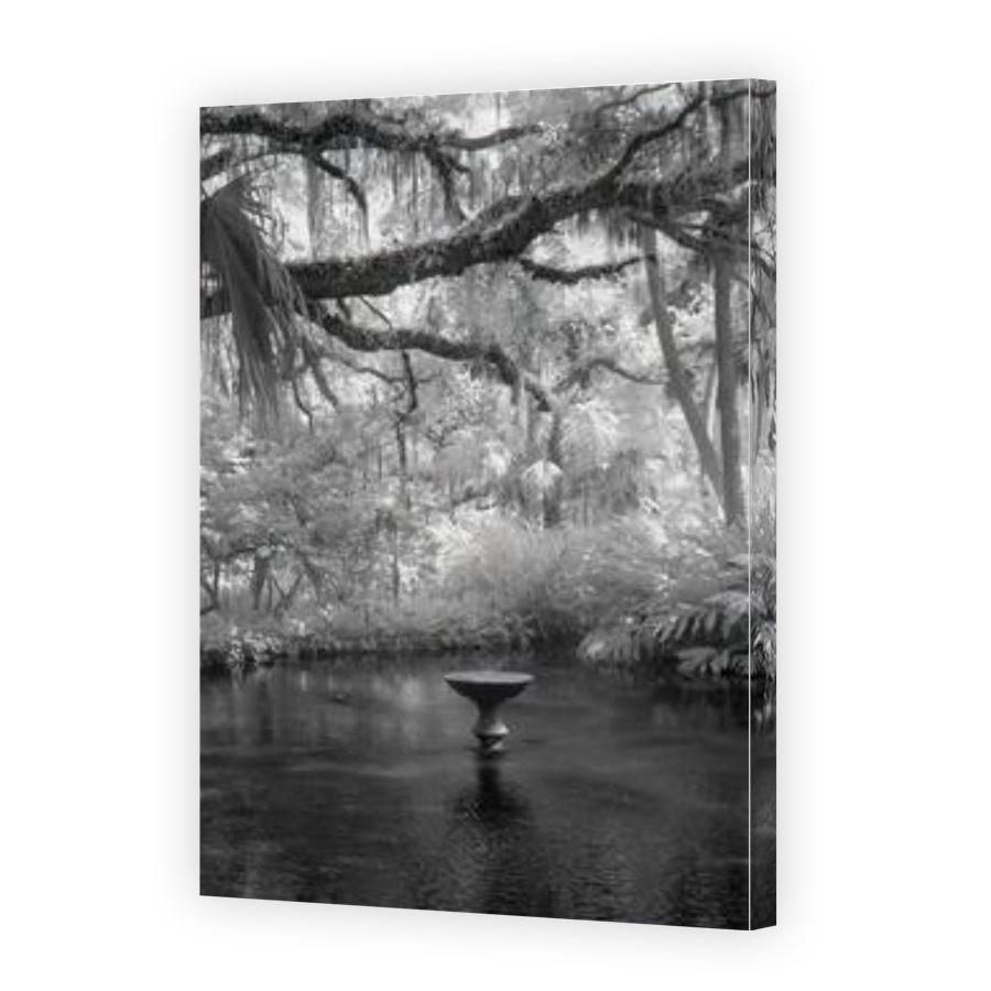 Thumbnail for Canvas - Gallery Canvas Wrap