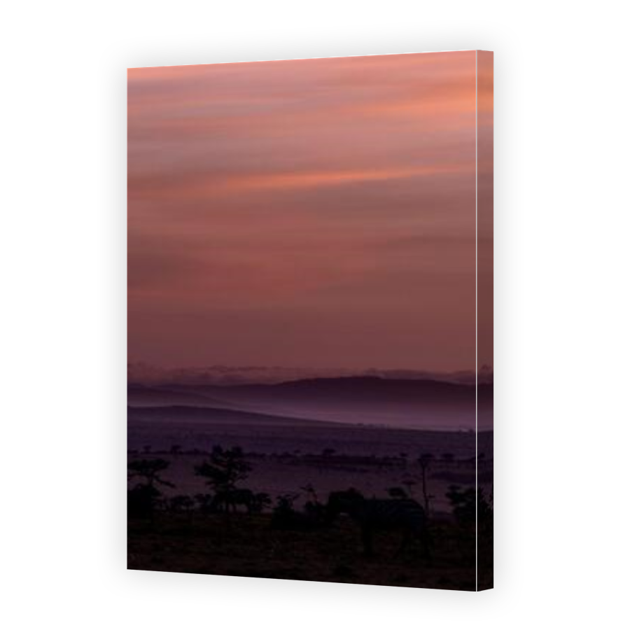Thumbnail for Canvas - Gallery Canvas Wrap