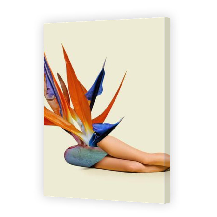 Thumbnail for Canvas - Gallery Canvas Wrap