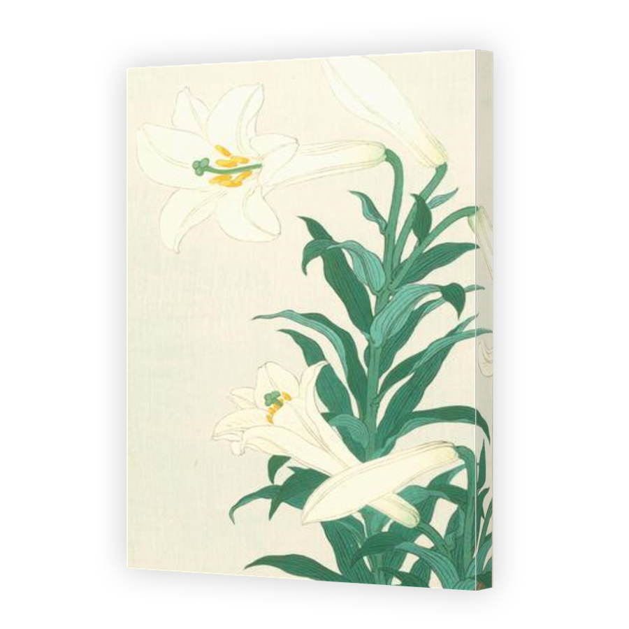 Thumbnail for Canvas - Gallery Canvas Wrap