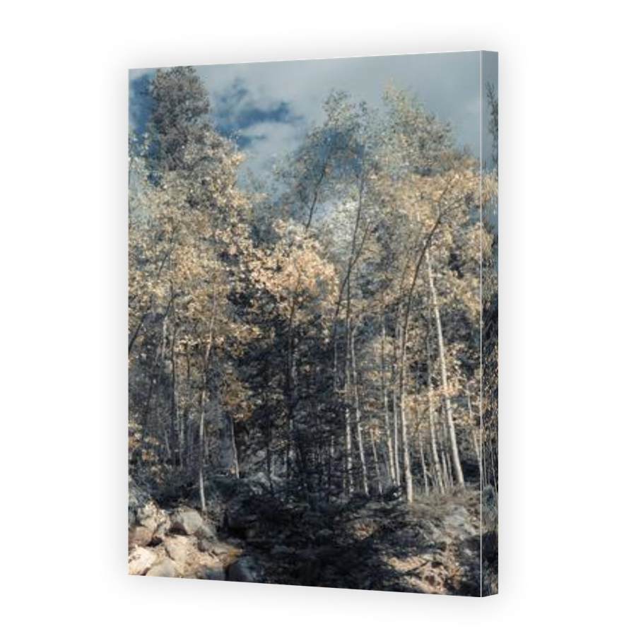 Thumbnail for Canvas - Gallery Canvas Wrap