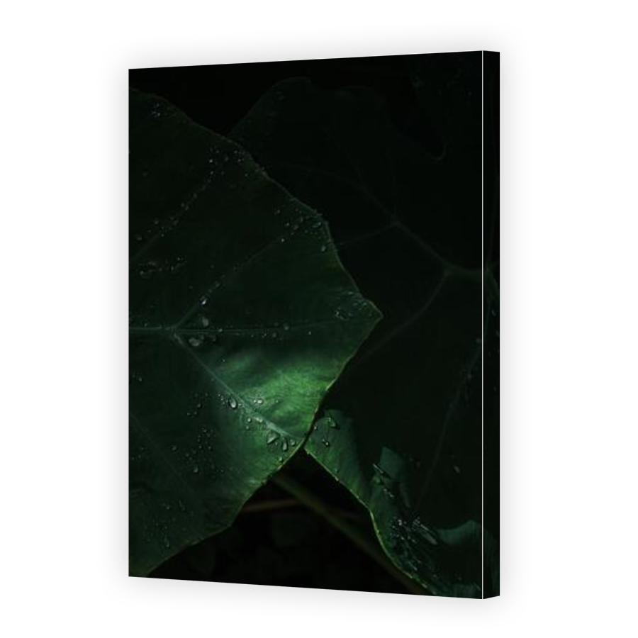 Thumbnail for Canvas - Gallery Canvas Wrap