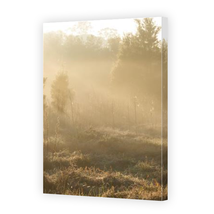 Thumbnail for Canvas - Gallery Canvas Wrap