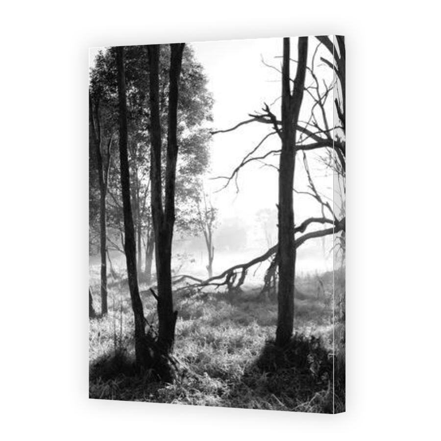 Thumbnail for Canvas - Gallery Canvas Wrap