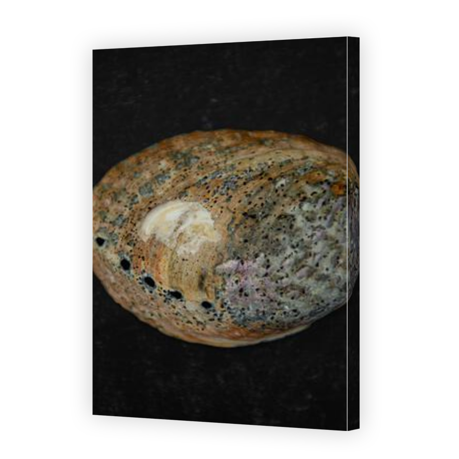 Thumbnail for Canvas - Gallery Canvas Wrap