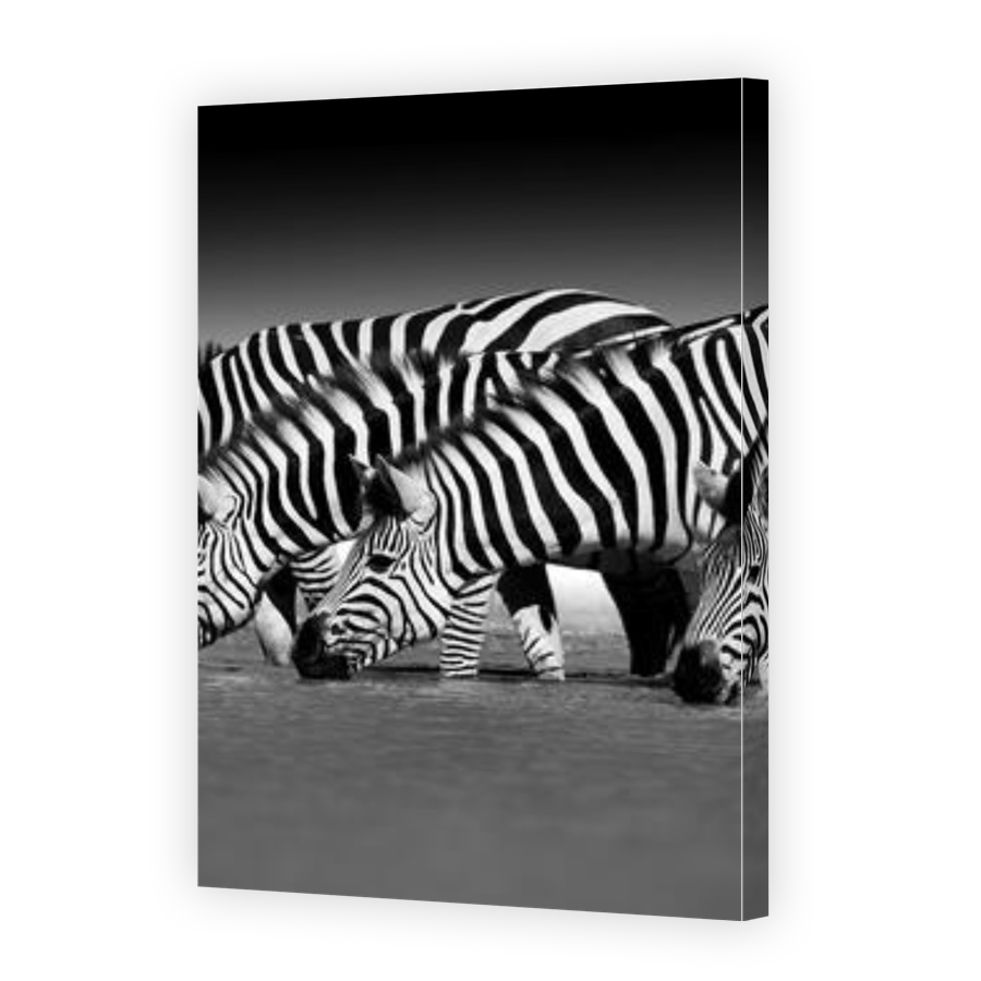 Thumbnail for Canvas - Gallery Canvas Wrap