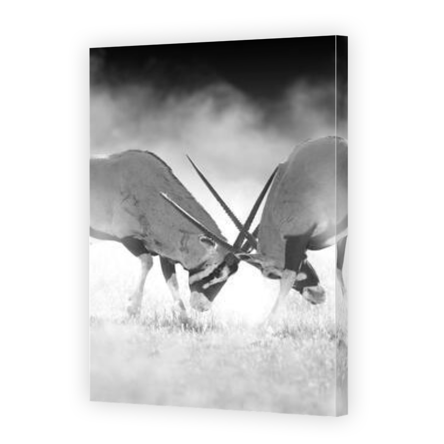 Thumbnail for Canvas - Gallery Canvas Wrap