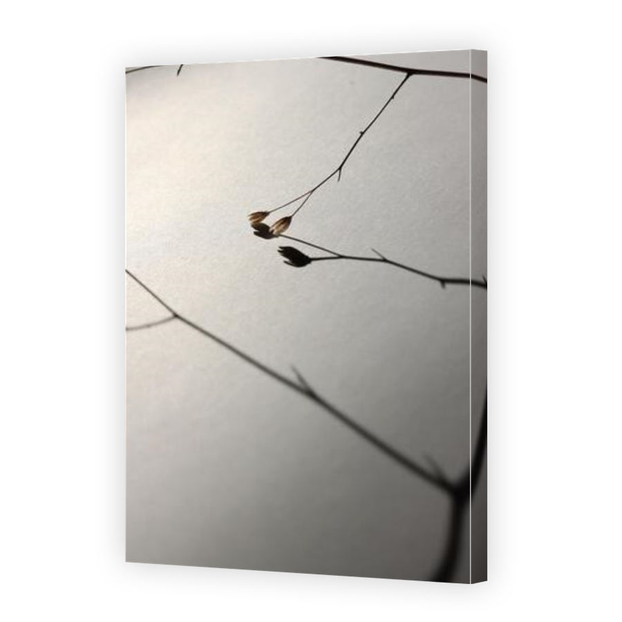 Thumbnail for Canvas - Gallery Canvas Wrap