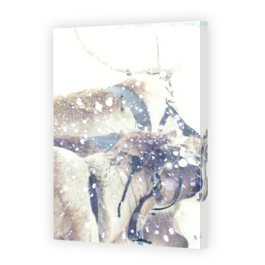Thumbnail for Canvas - Gallery Canvas Wrap