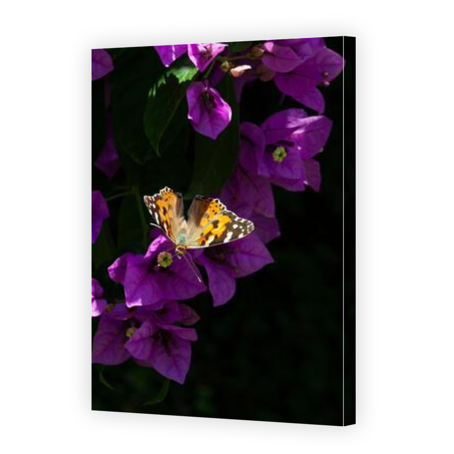 Thumbnail for Canvas - Gallery Canvas Wrap