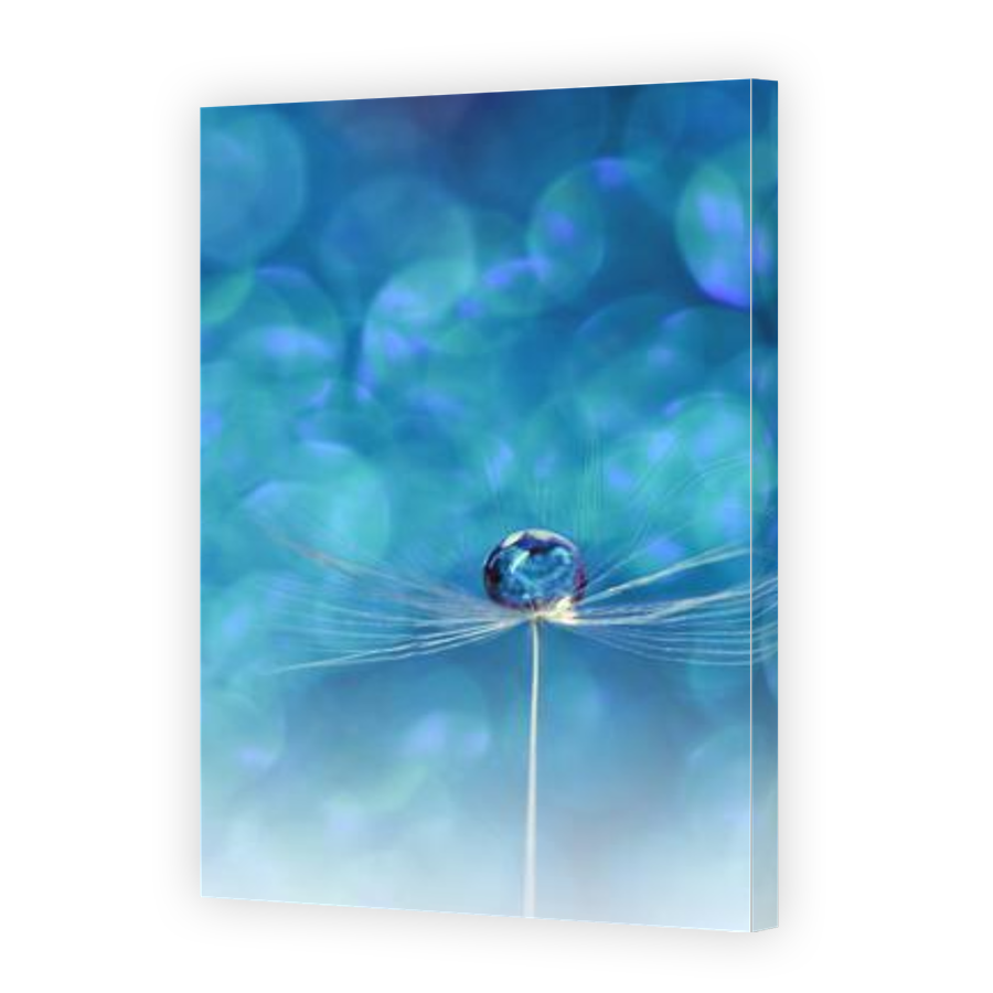 Thumbnail for Canvas - Gallery Canvas Wrap