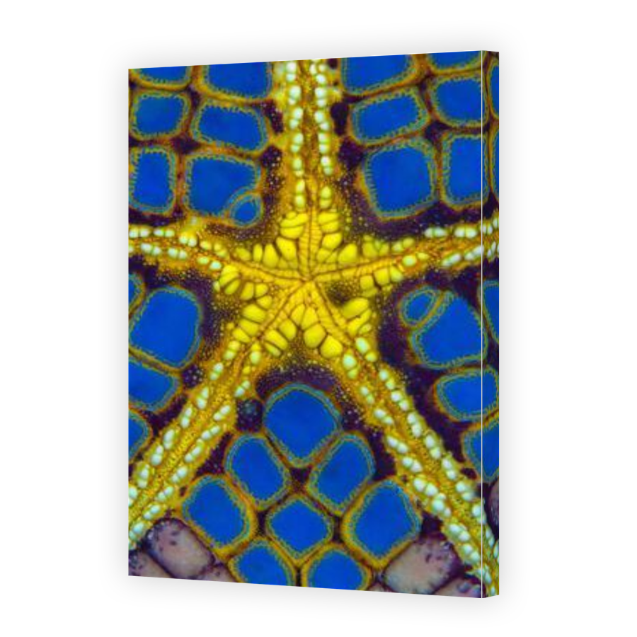 Thumbnail for Canvas - Gallery Canvas Wrap