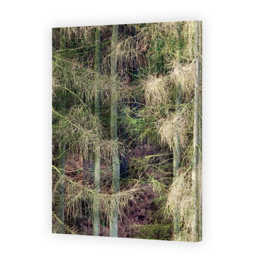Thumbnail for Canvas - Gallery Canvas Wrap