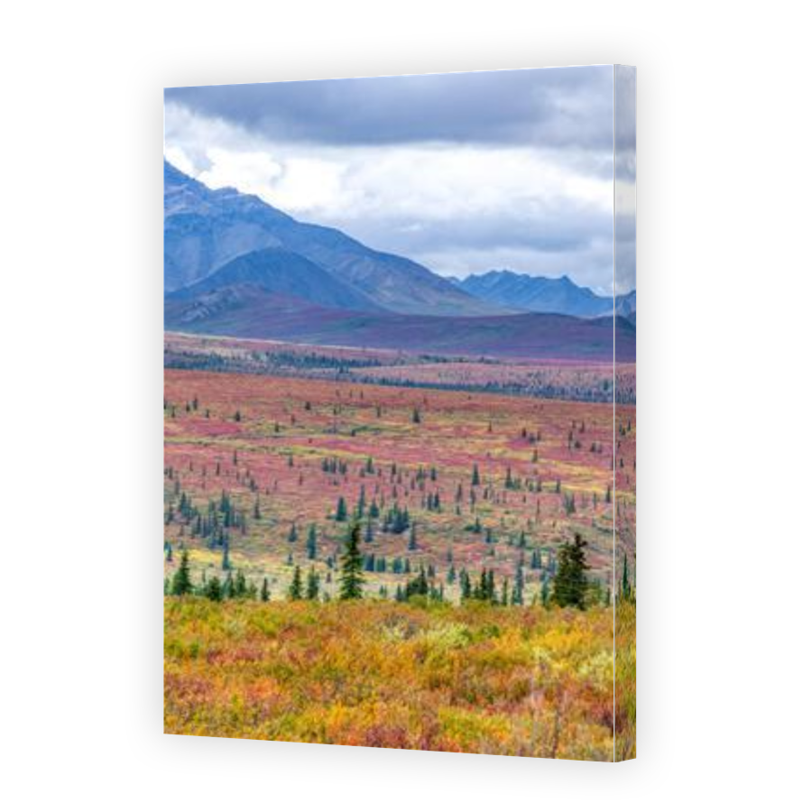 Thumbnail for Canvas - Gallery Canvas Wrap