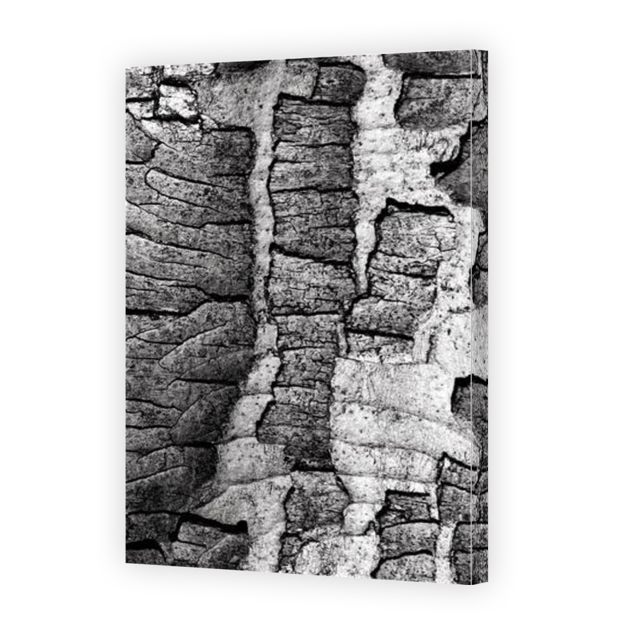 Thumbnail for Canvas - Gallery Canvas Wrap