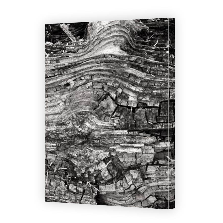 Thumbnail for Canvas - Gallery Canvas Wrap