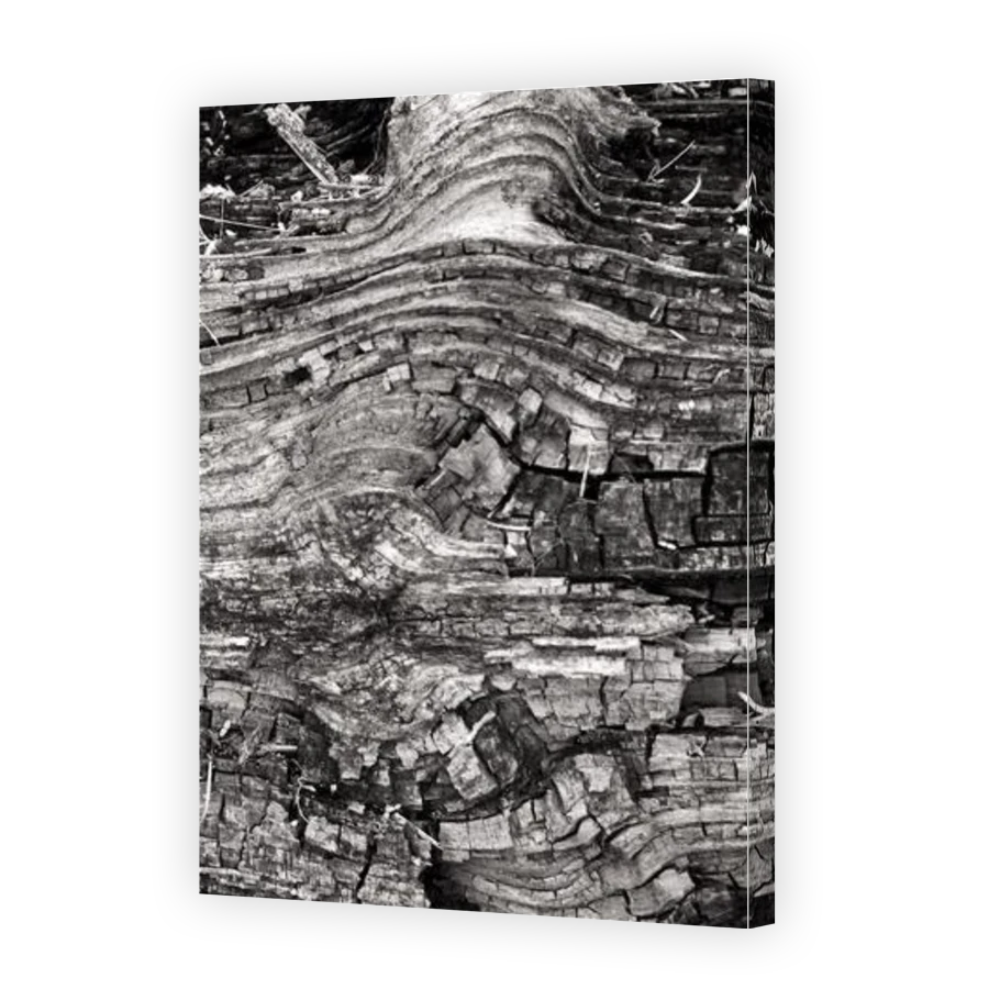 Thumbnail for Canvas - Gallery Canvas Wrap